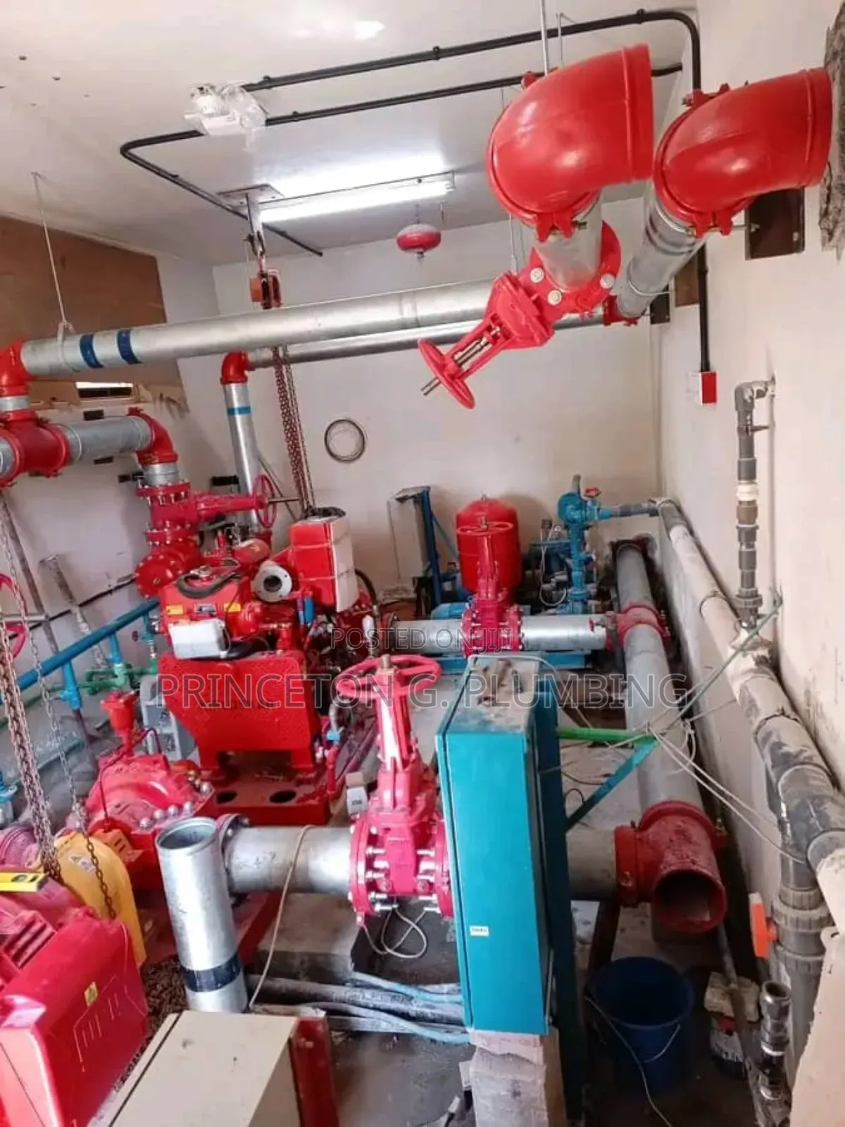 Professional Plumber