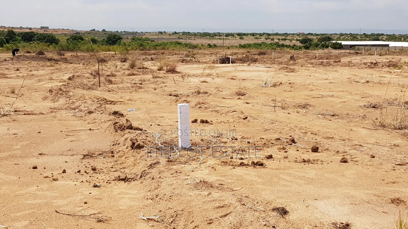 Litigation-Free Land, Genuine Documents at Tsopoli Skyport City
