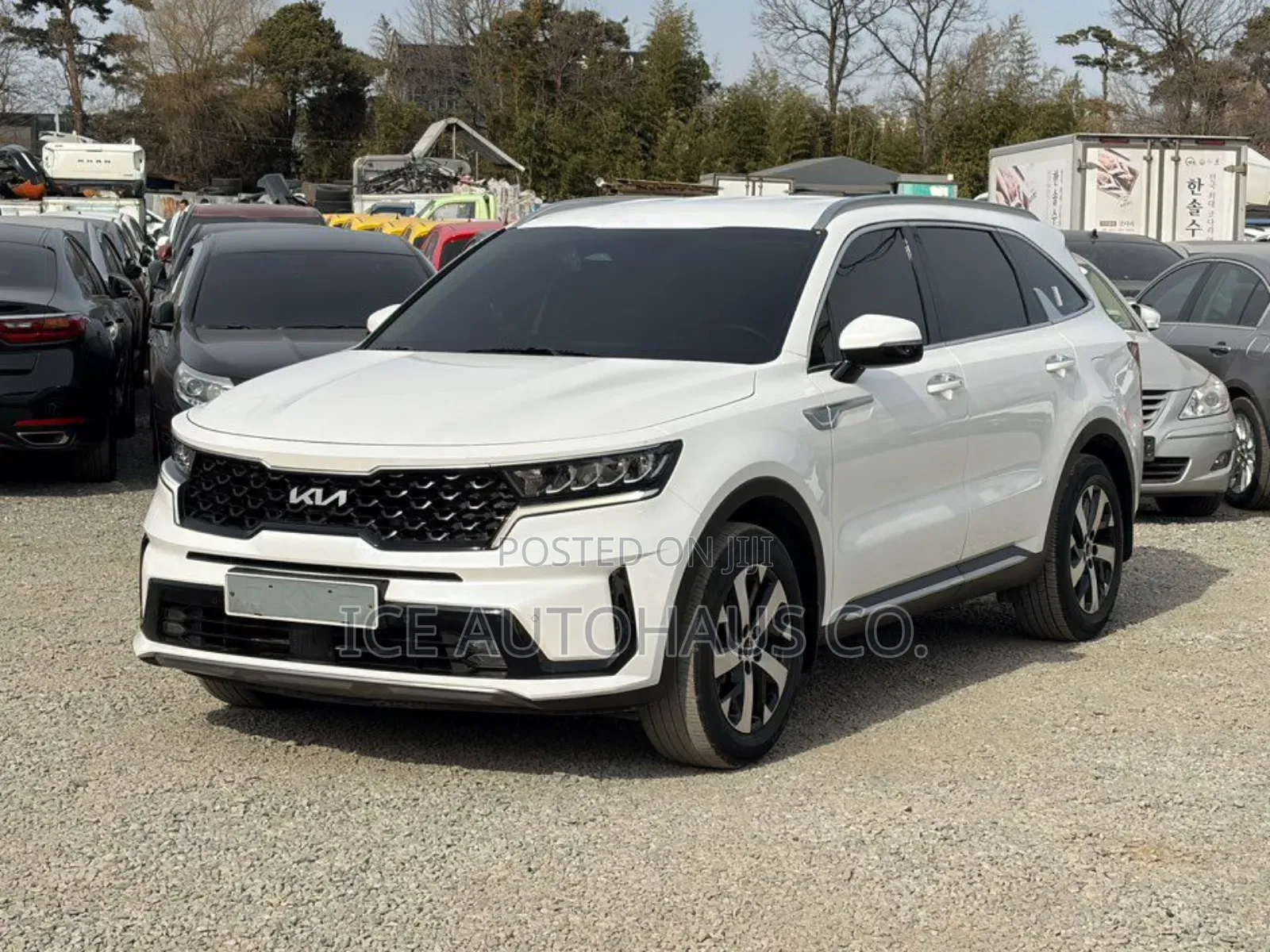 Kia Sorento Hybrid 2022 White