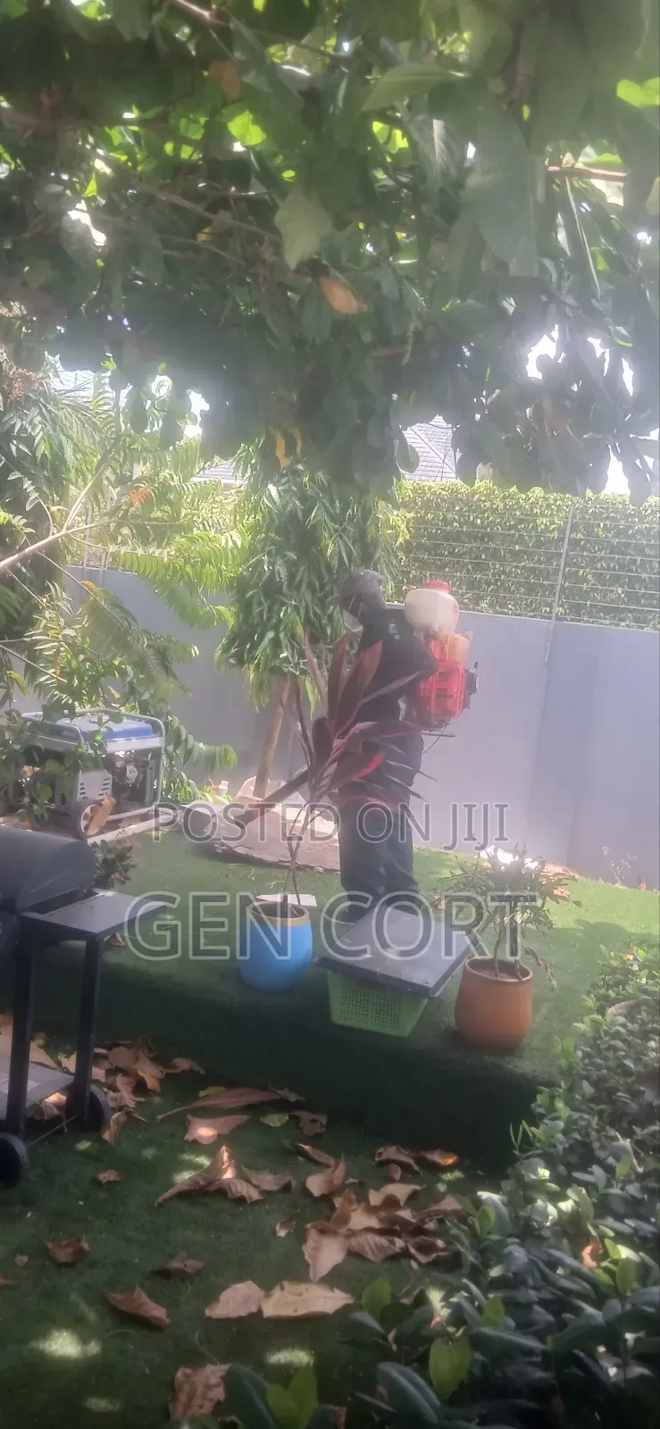 Standard Fumigation Service