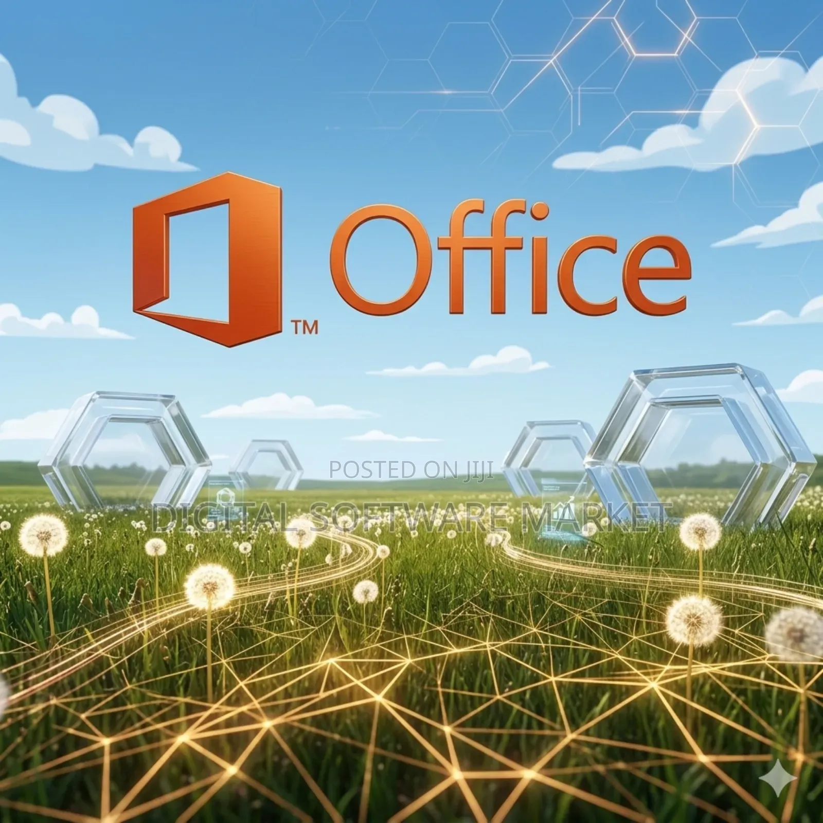 Microsoft Office 2021-2024 Professional Plus Installation Win/Macos