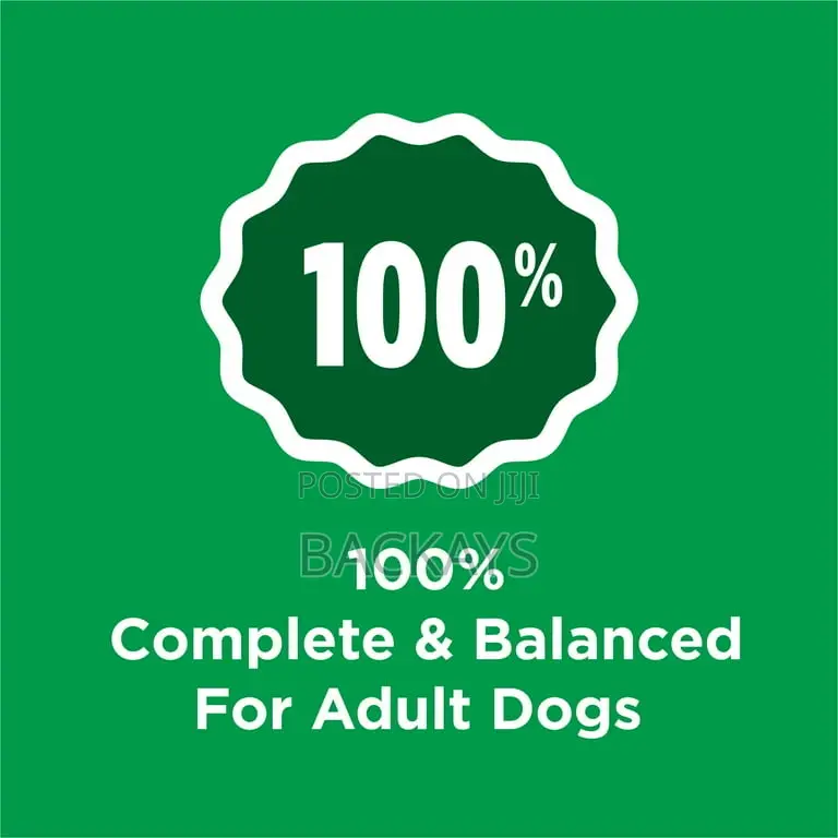 Brand New Purina Dog Chow Adult Dog Food 21.8kg