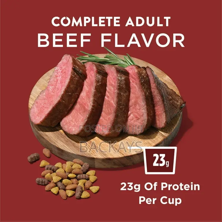 Brand New Purina Dog Chow Beef Flavor 22kg Ghs780 Quick Sale