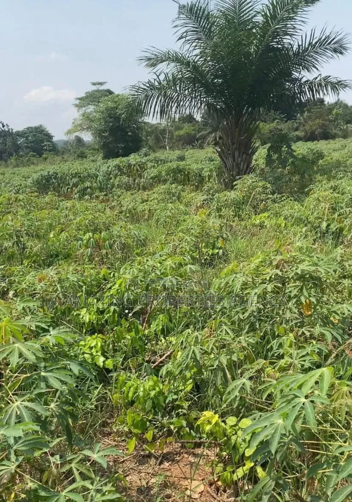 2 Plots of Land for Sale at Lashibi, Emefs