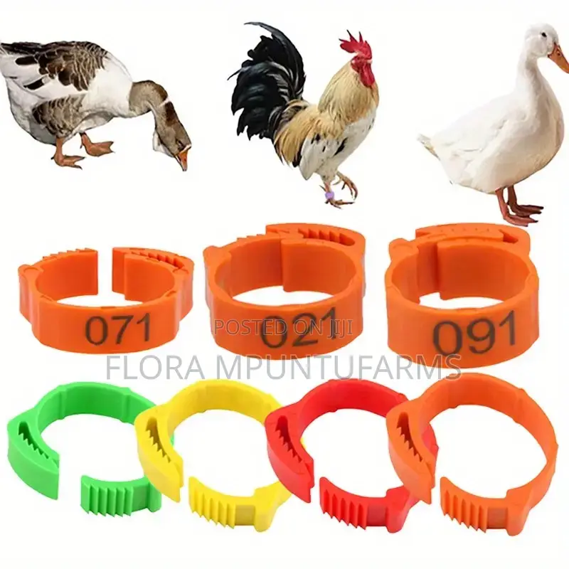 Chicken Leg Tags