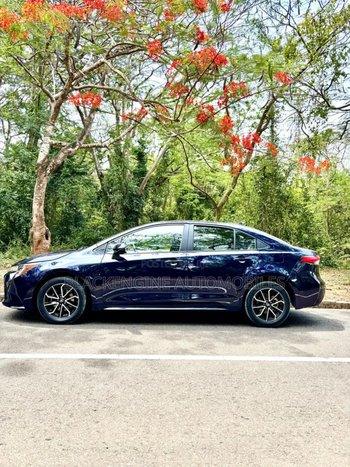 Toyota Corolla LE 2021 Blue