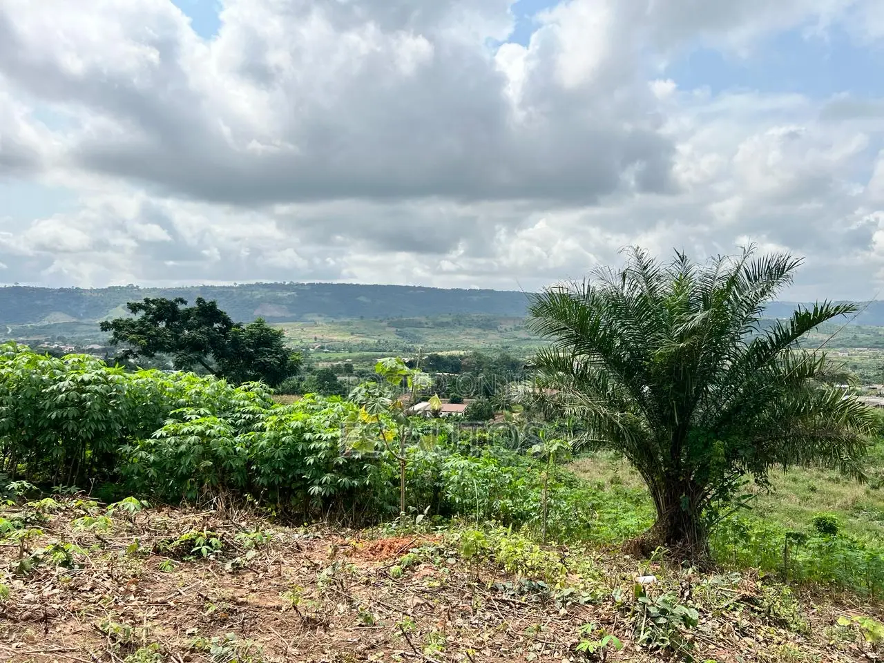 Residential and Commercial Lands