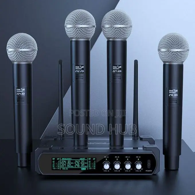 Professional 4 in 1 Microphone