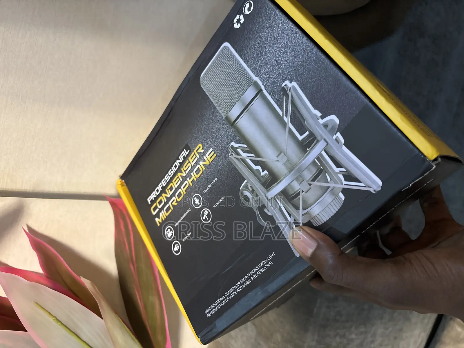 U87 Studio Microphone