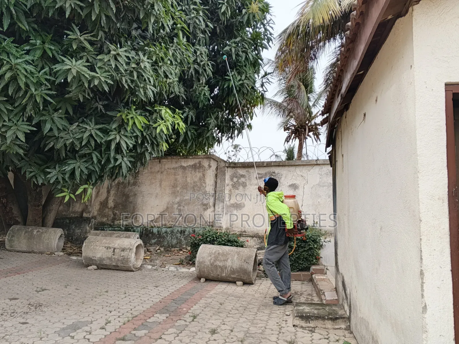 Standout Fumigation of Insects With Cleantex