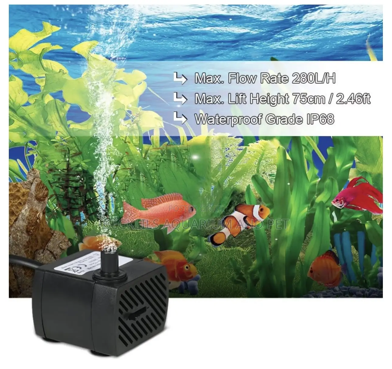 Teflon 4watts Submersible Fountain Pump
