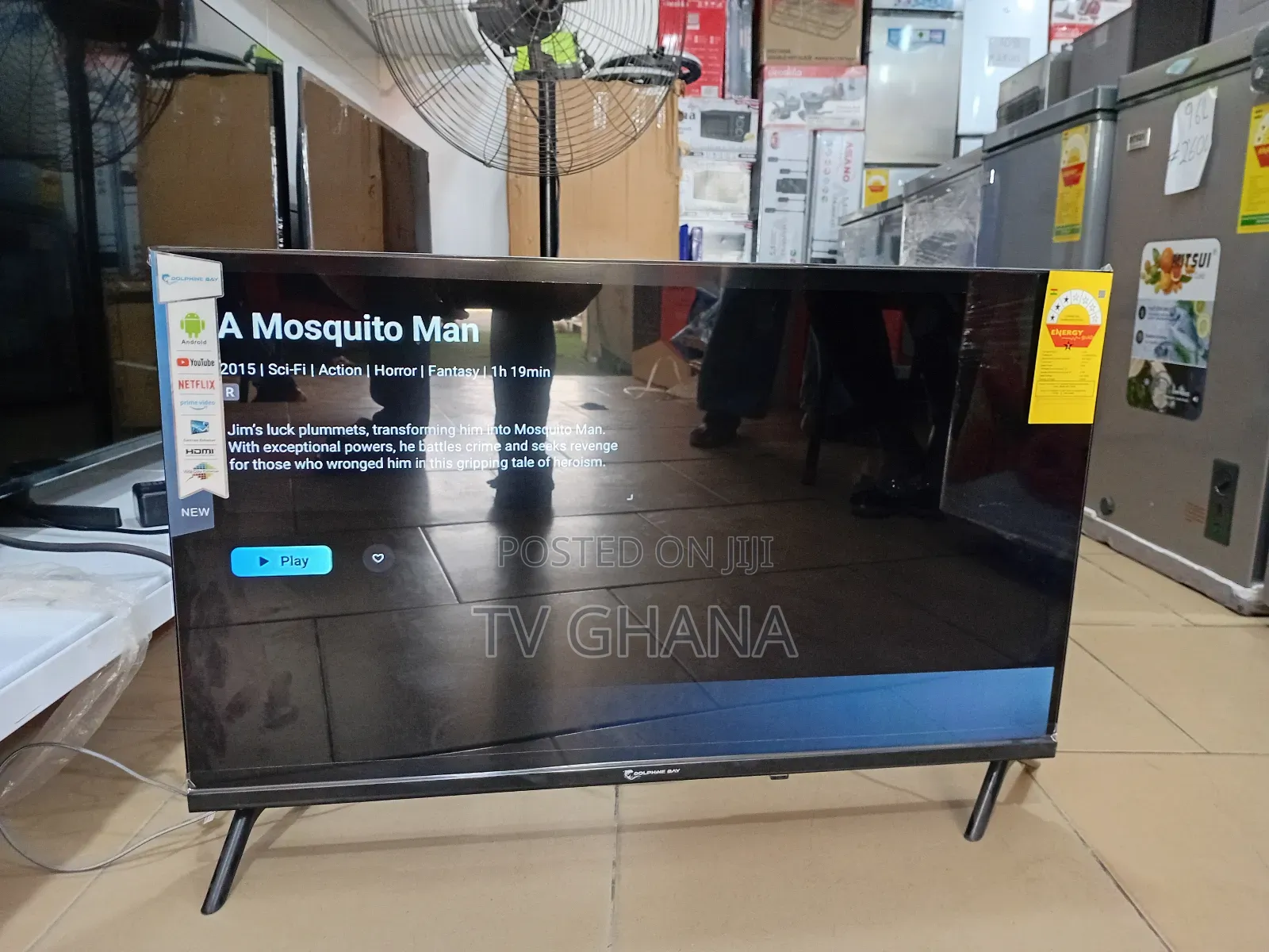 Dolphine Bay 32" Smart Tv, Tv That Boosts Home Style Tv32 Inches Tv