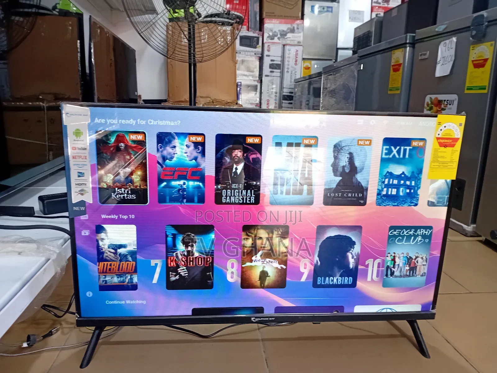 Dolphine Bay 32" Smart Tv, Tv That Keeps You Entertained Tv32 Dolphine