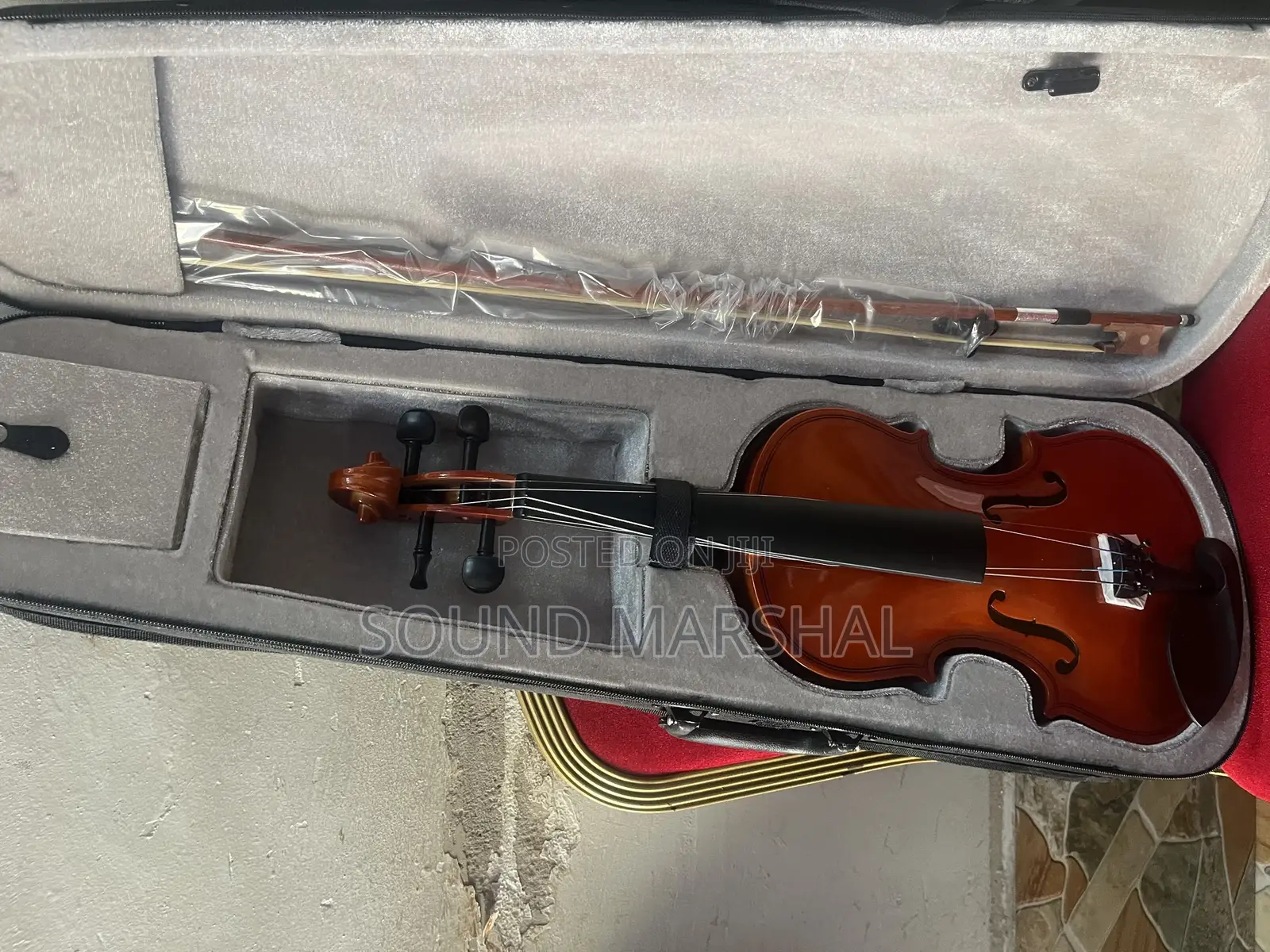 Professional Violin 4x4
