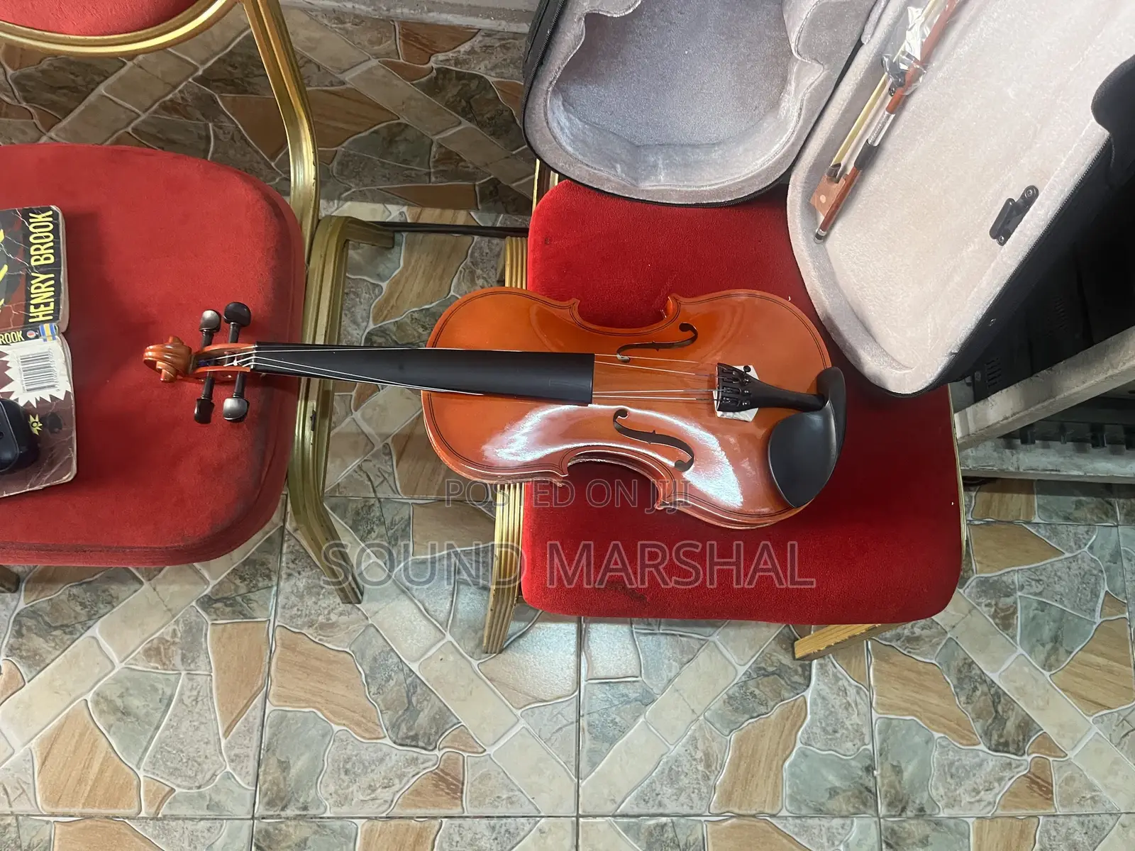 Professional Violin 4x4