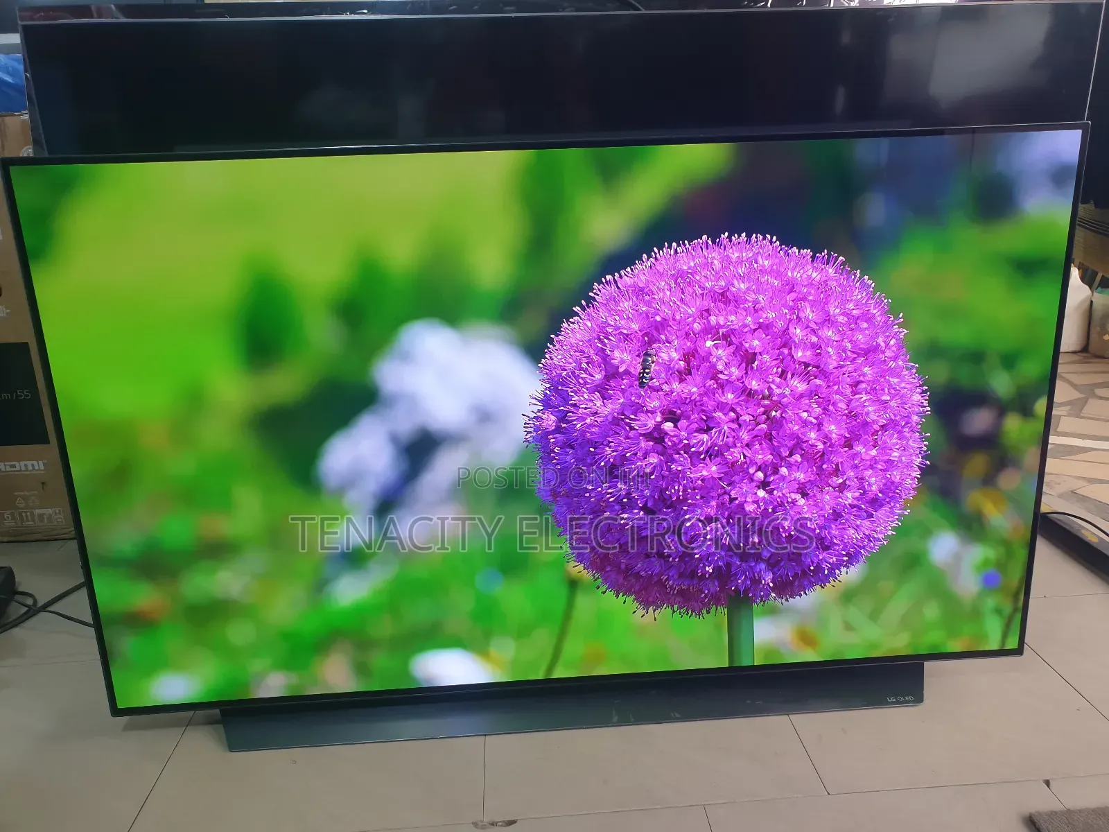 Oled 55" Lg Uhd HDR Smart Satellite Tv