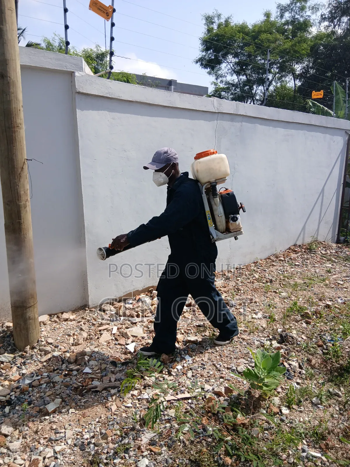 Fumigation and Pest Control Professional S