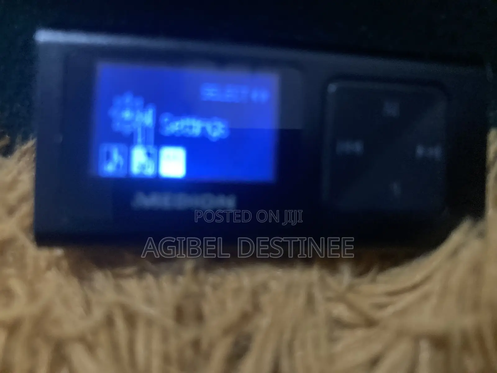 Potable Mp3 Player 2g
