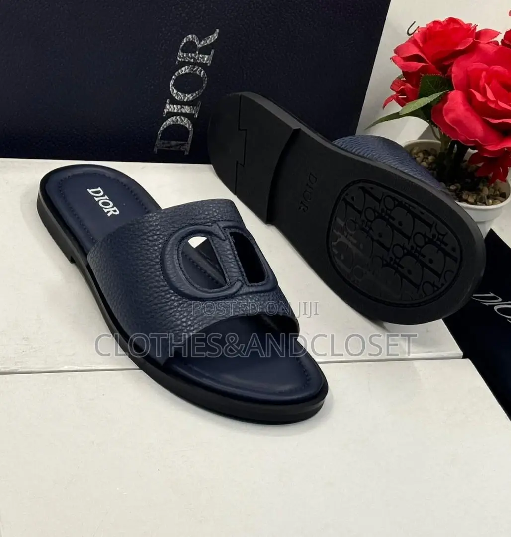 Luxurious Dior Slippers