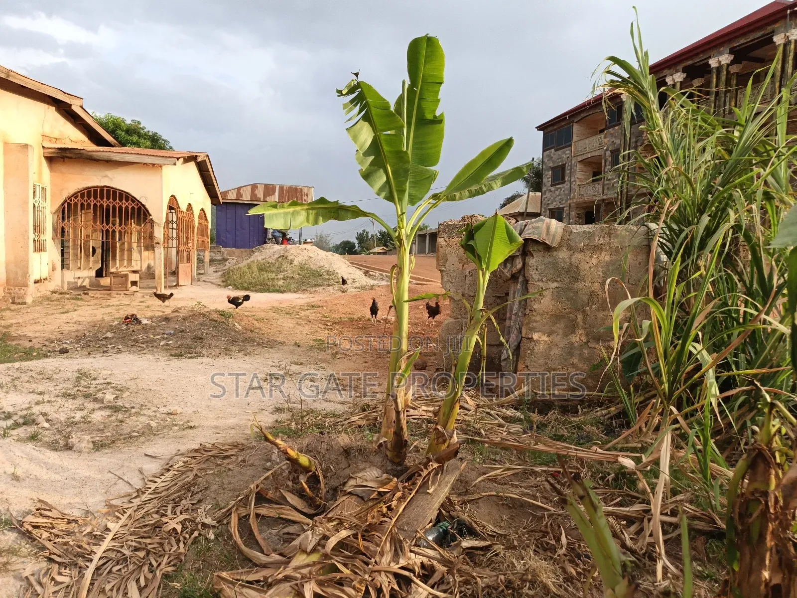 Plot for Sale at Afrancho ( Well Located Plot) 130*100 Ft