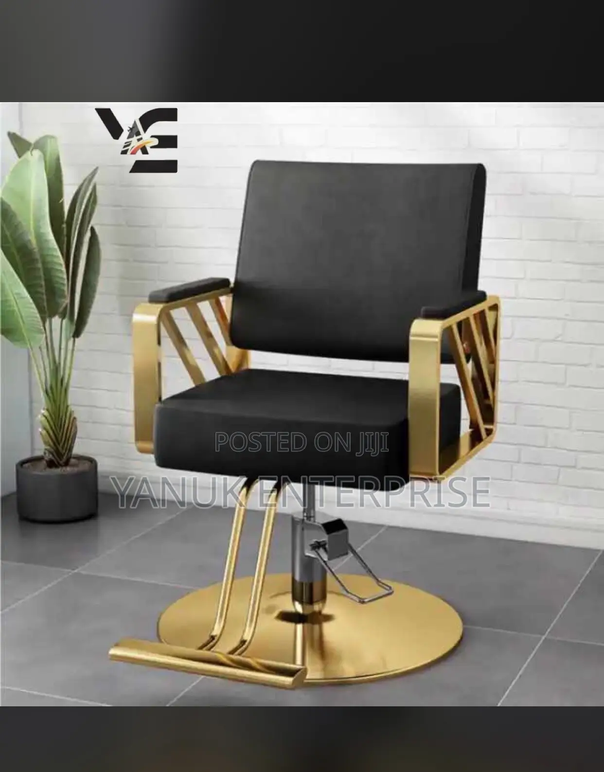 Salon Chair