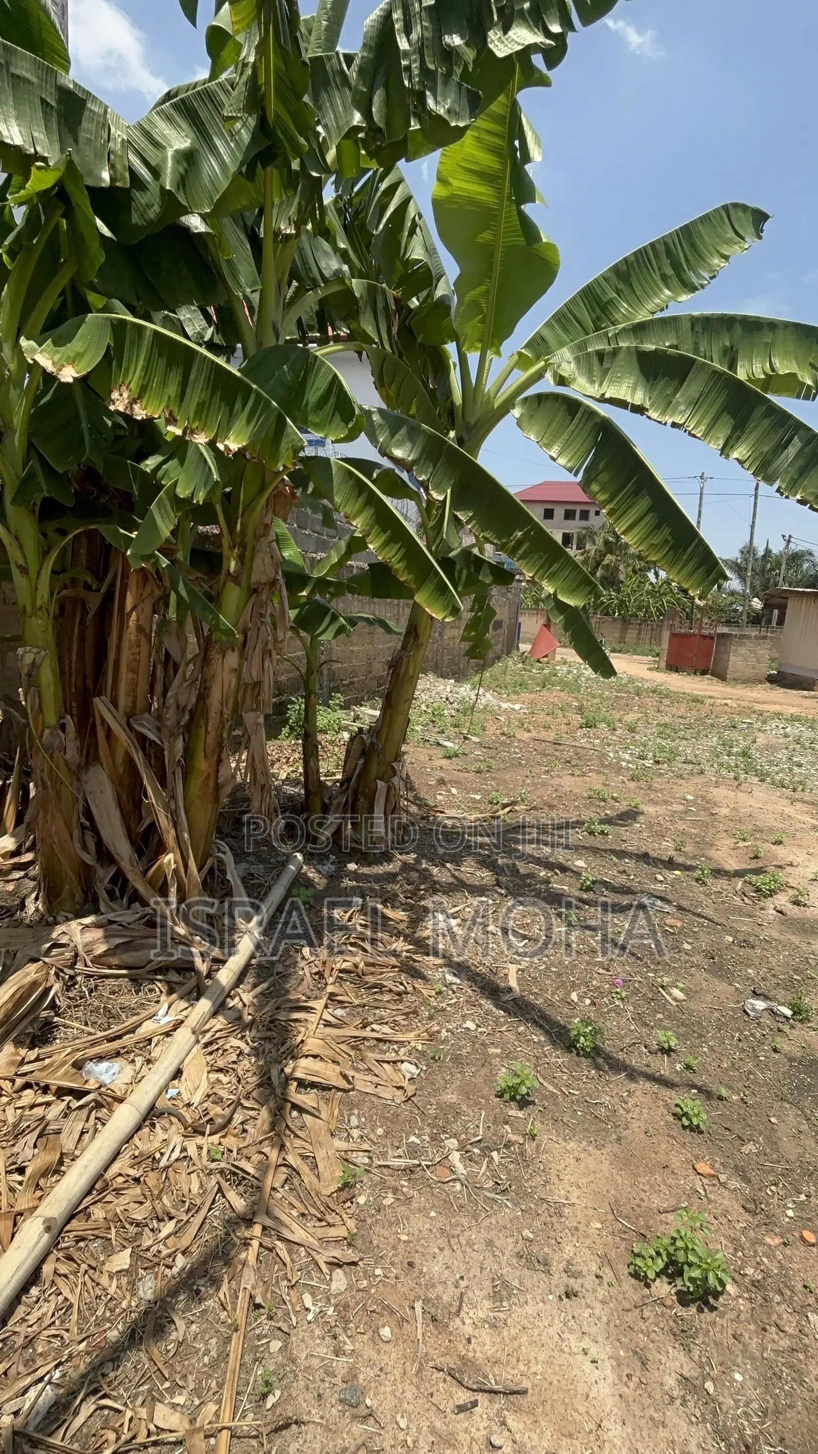 Title Land for Sale at Ashley Botwe