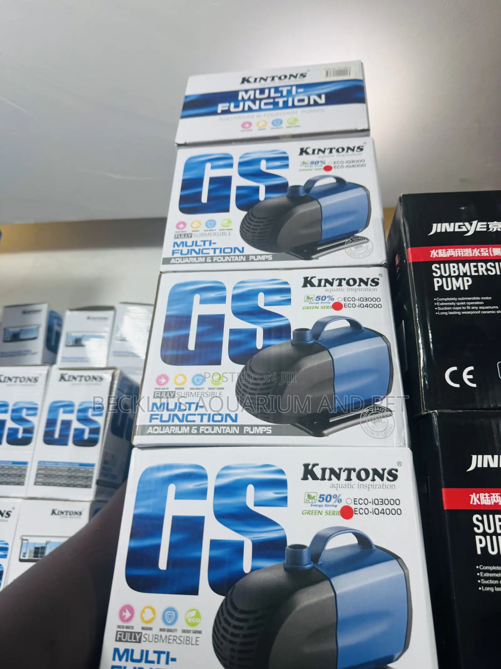 30 Watts Kingston Submersible Pump