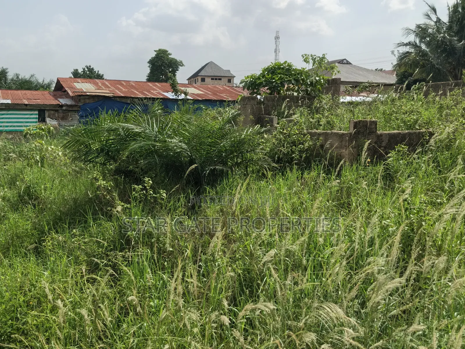 Plot for Sale at Kenyasi Adwumam