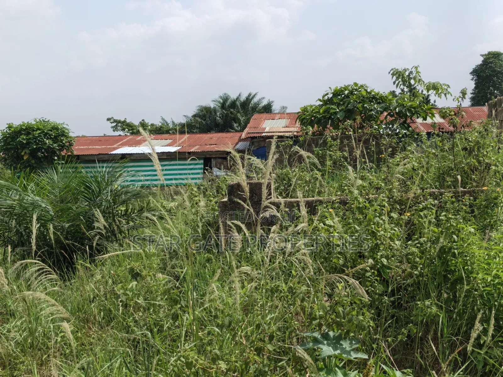 Plot for Sale at Kenyasi Adwumam