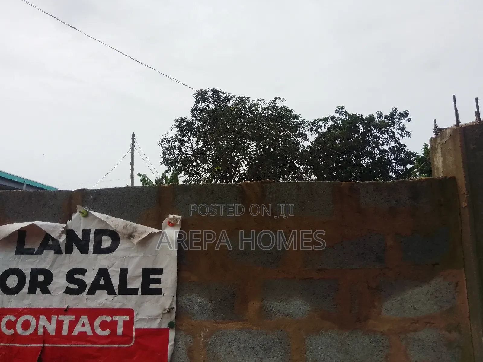 Freehold 100/100 Land Size at Adenta Ritz Junction for Sale