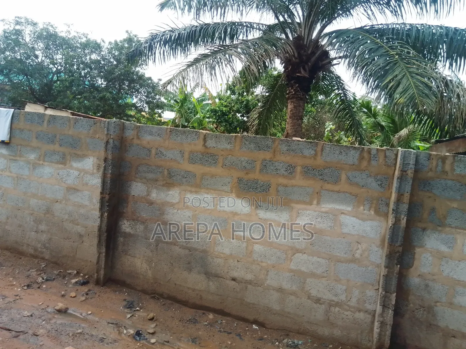 Freehold 100/100 Land Size at Adenta Ritz Junction for Sale