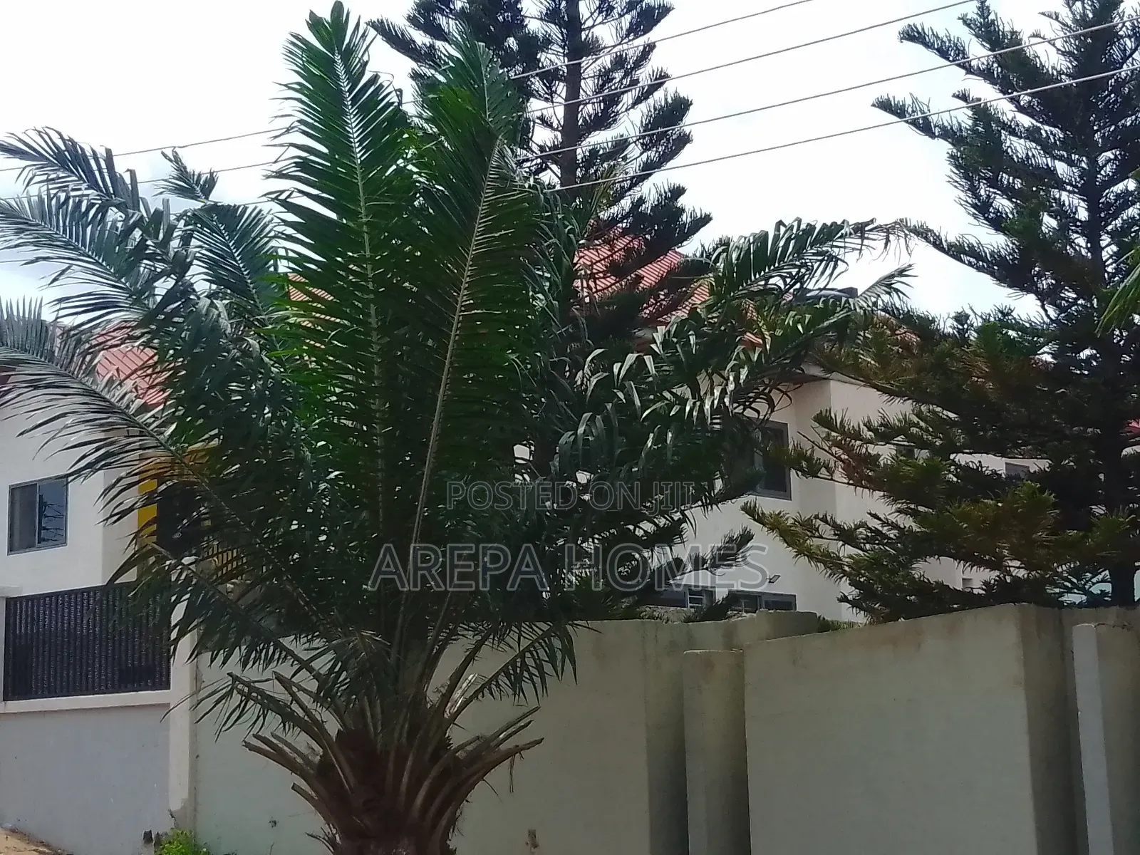 Freehold 100/100 Land Size at Adenta Ritz Junction for Sale