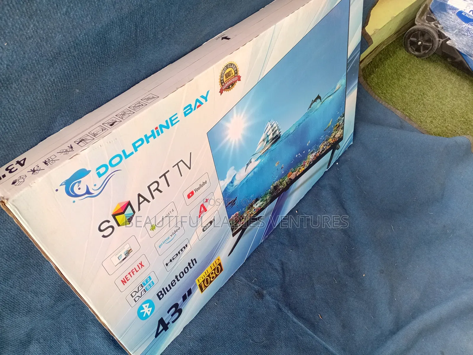 Dolphine Bay 43-Inch Tv – Premium Quality Display Sound