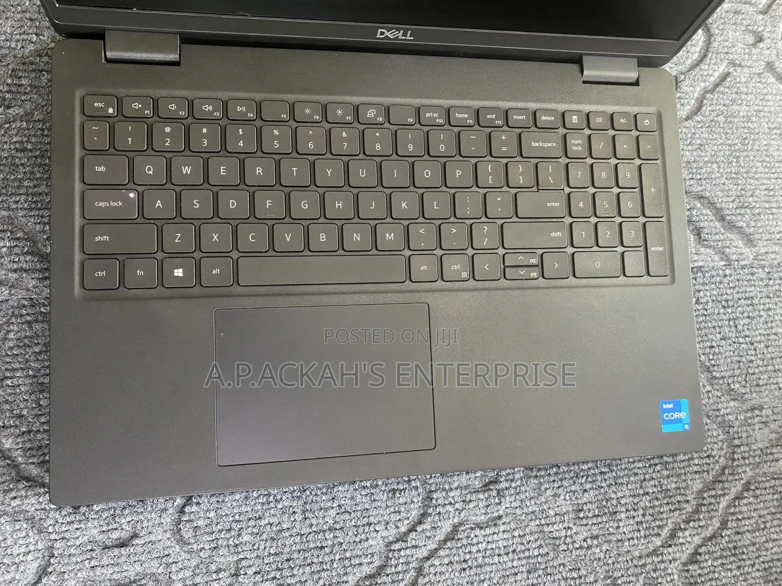 Laptop Dell Latitude 3520 8GB Intel Core i5 SSD 256GB