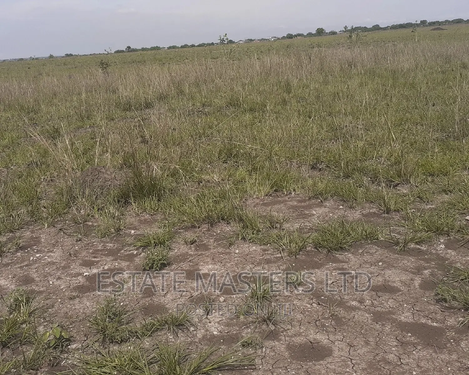 Demarcated Area Land