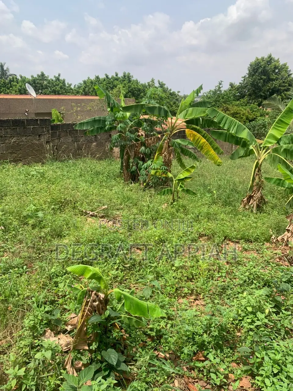 Roadside 2 Half Plot for Sale at Paraku
