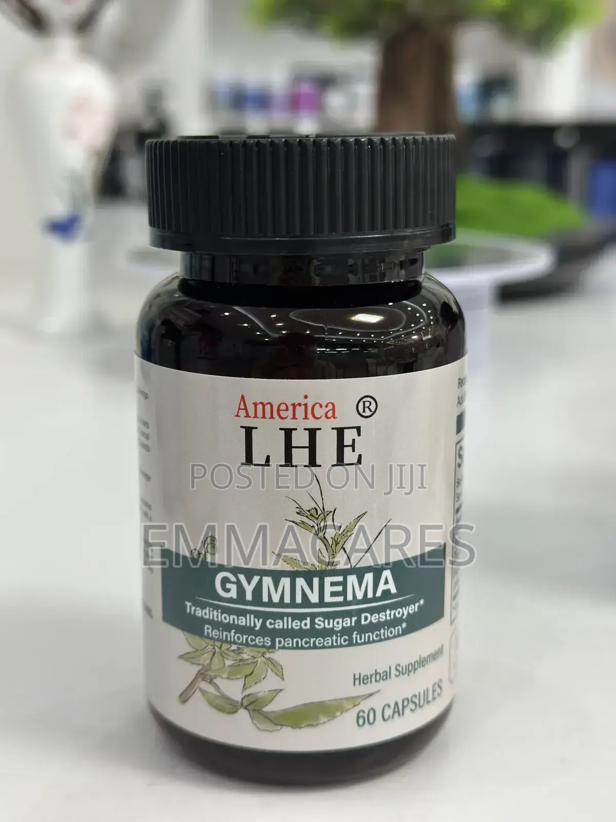 Gymnema Supplement