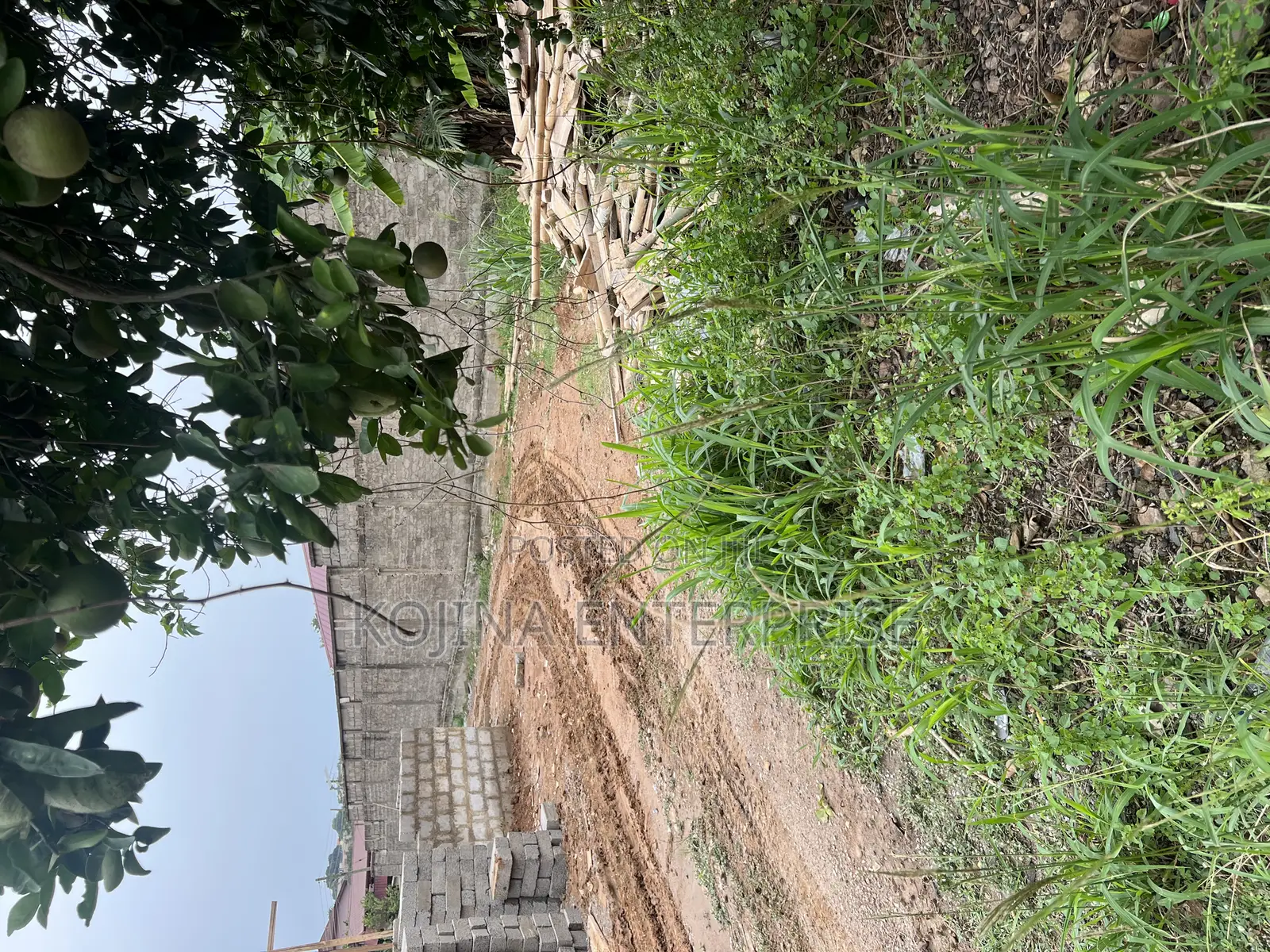 Prime 80×80 Residential Plot for Sale at Danyame – Behind Hans Court |