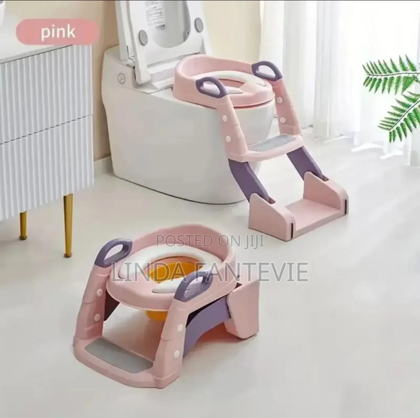 Toilet Ladder With Potty