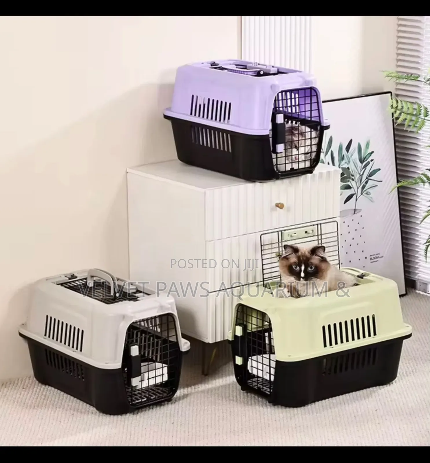 Approved Plastic Cat Cages