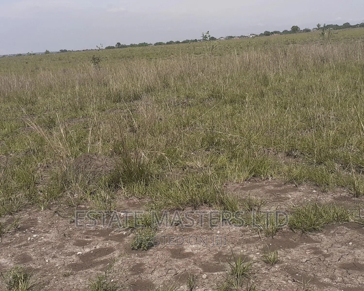 Cheap Price Land