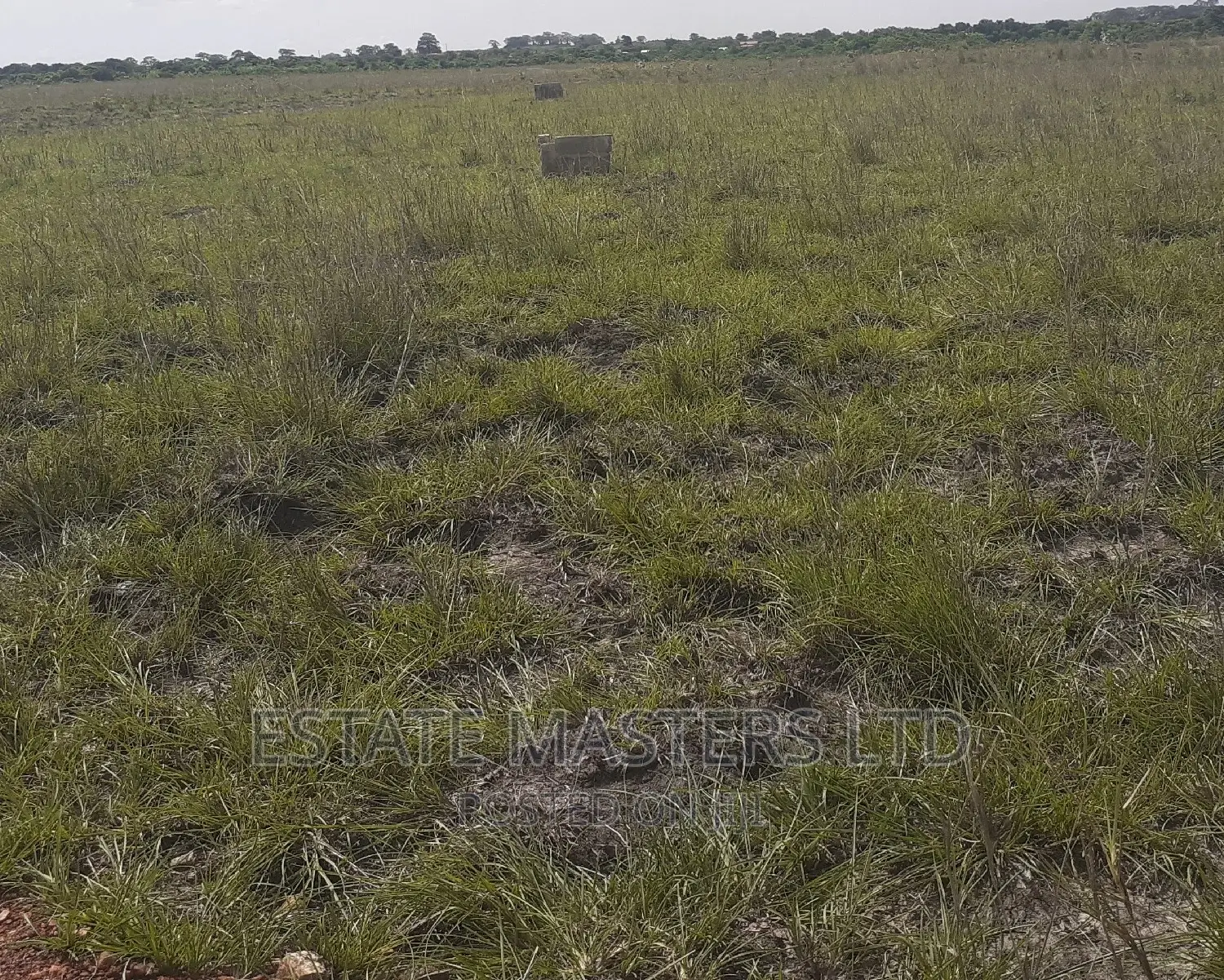 Cheap Price Land
