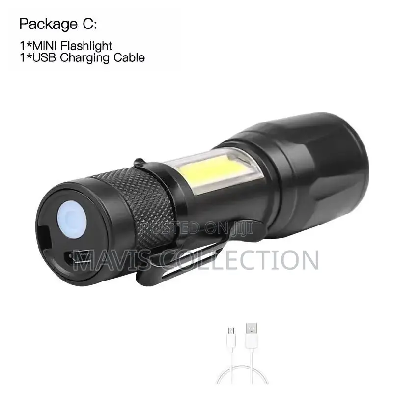 Security Torch Light