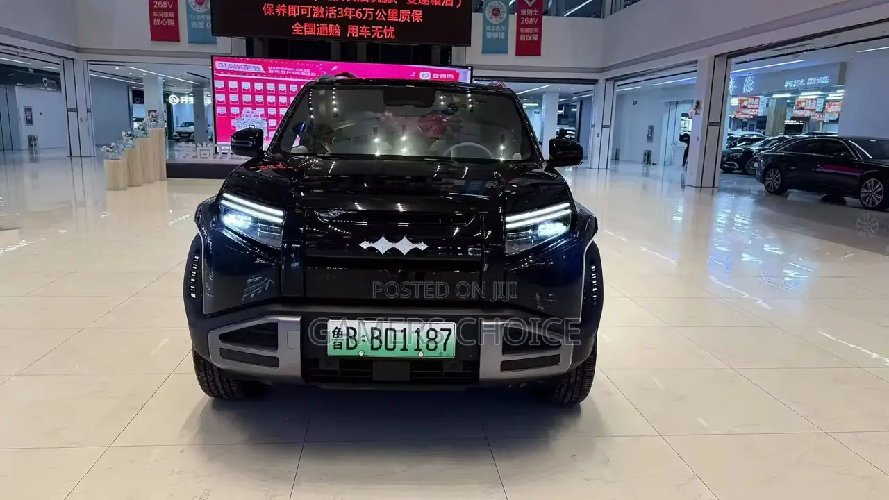 BYD Leopard 3 2025 Black
