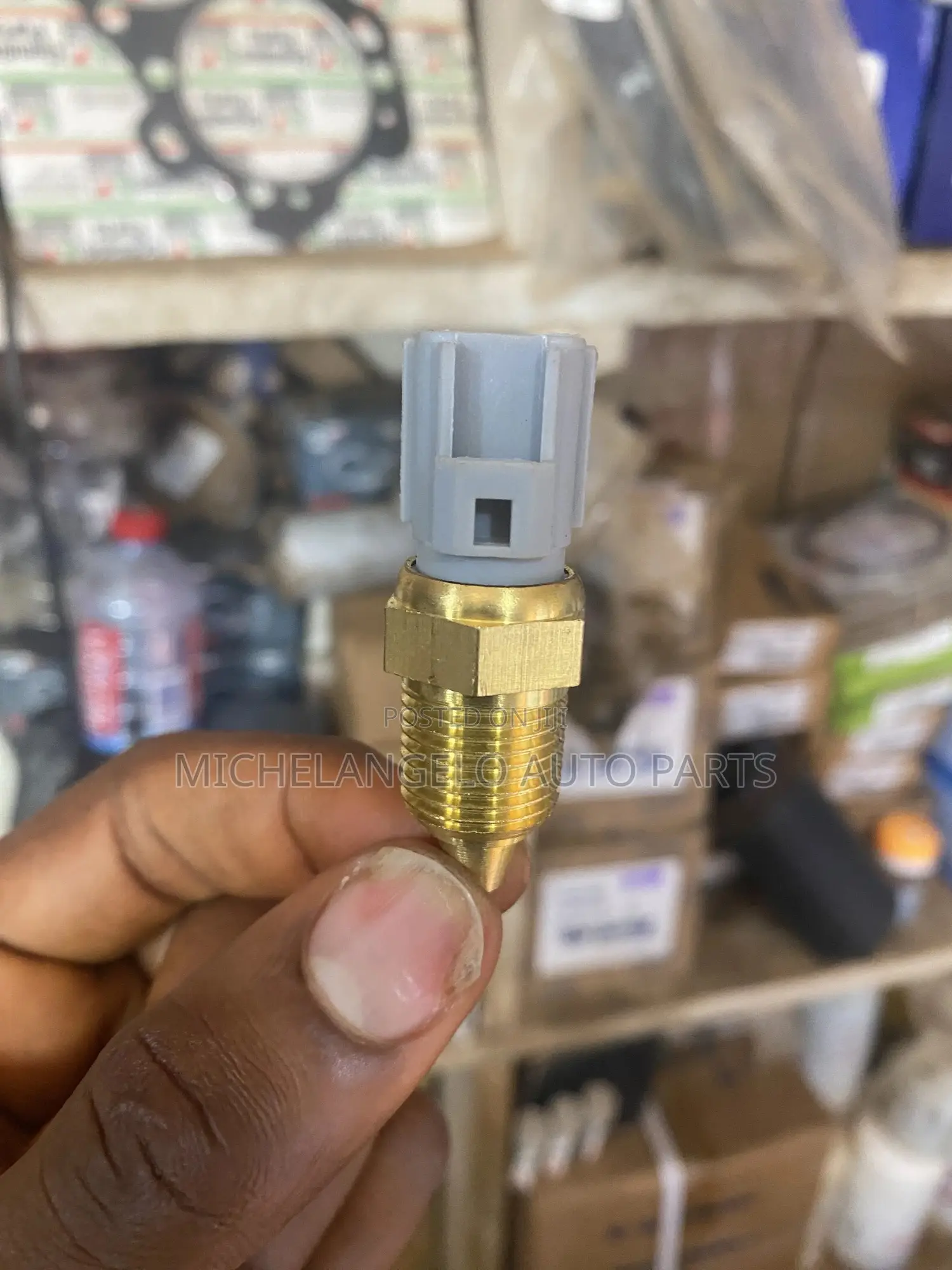Temperature Sensor Ford