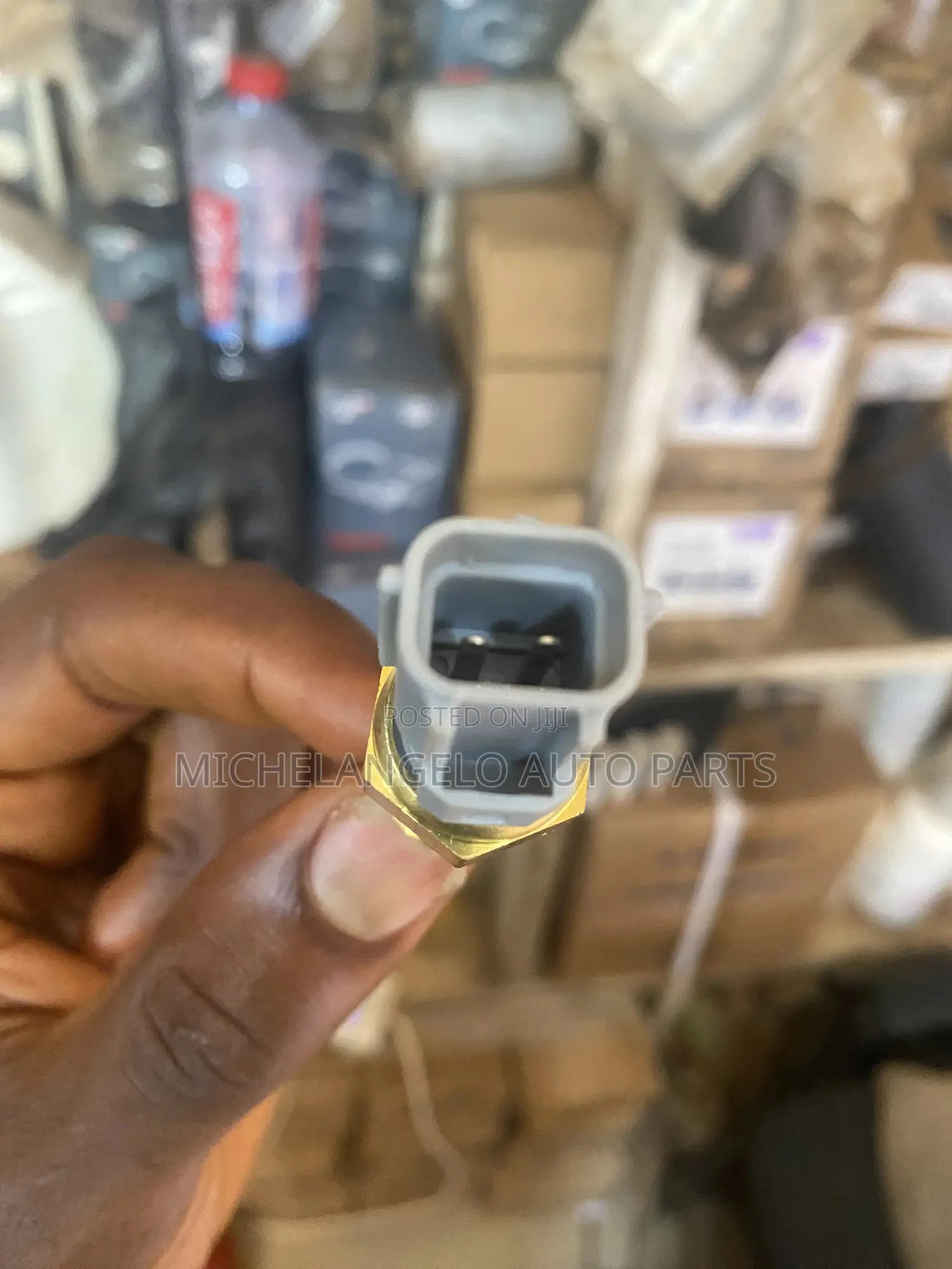 Temperature Sensor Ford