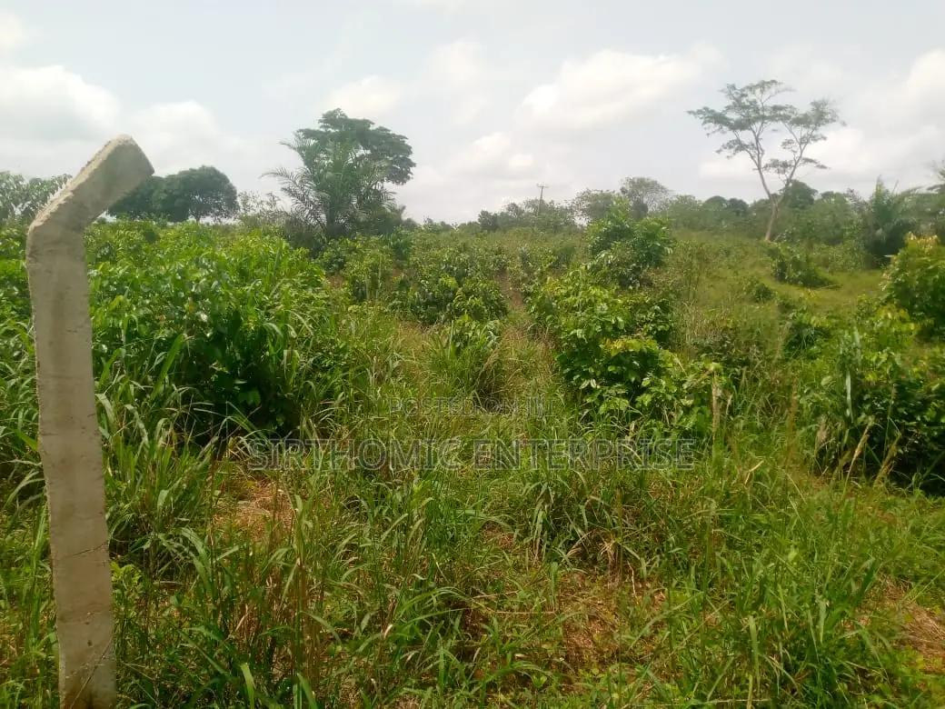 Road Side Land for Sale