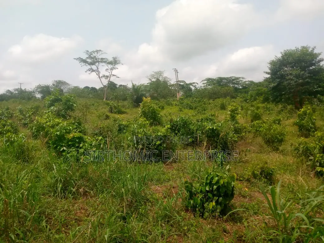 Land for Sale