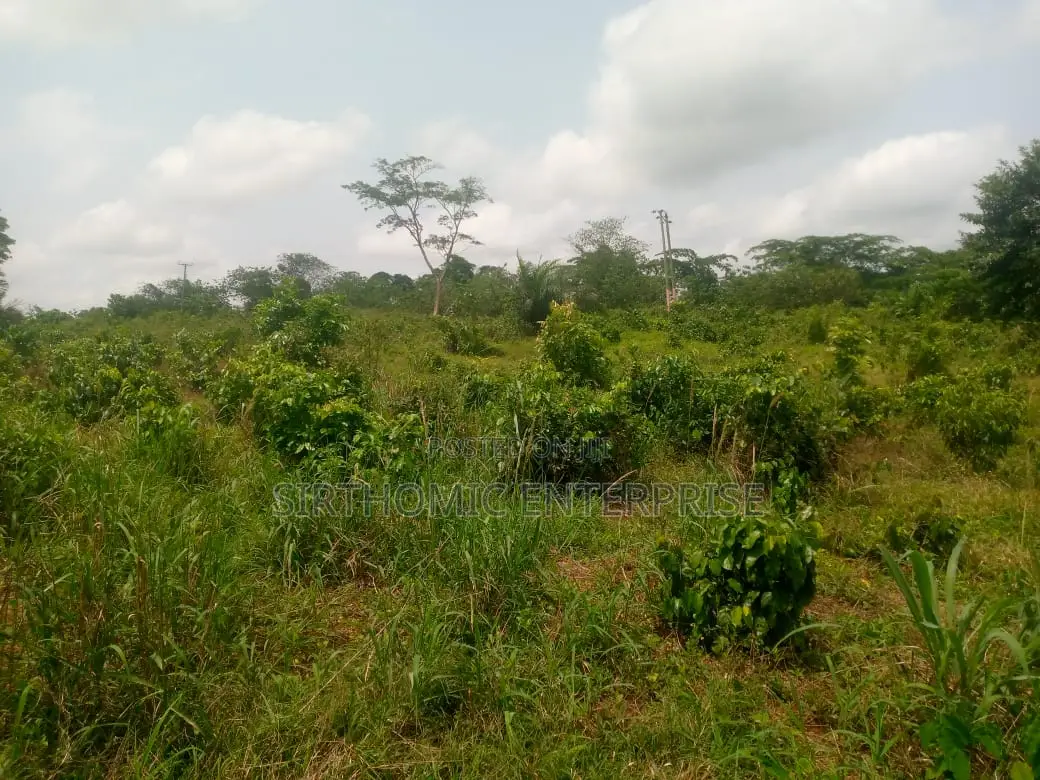 Land for Sale