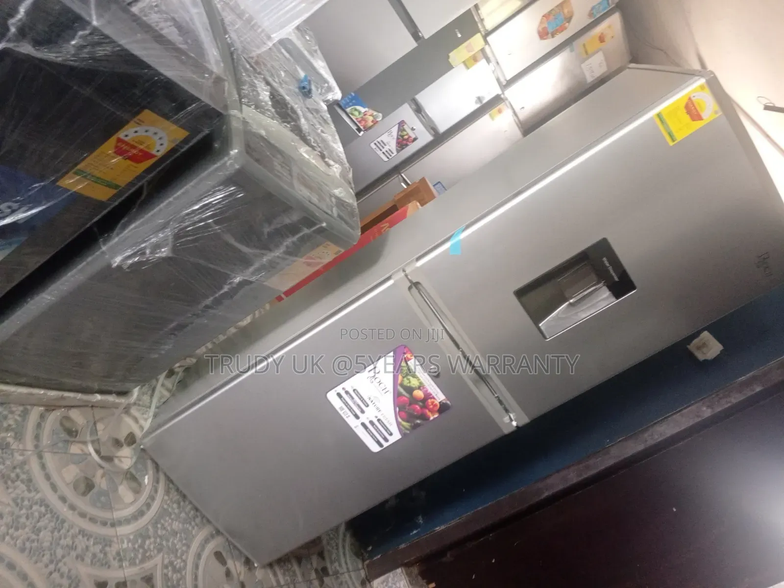 Cooling and Chilling With Roch Double Door 246liters Fridge
